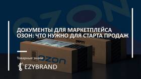 Акт выполненных работ продавца на Ozon: что это и зачем нужен в Доктор Столетов