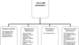 Что дает карта «Башнефть» в Доктор Столетов