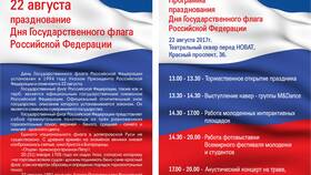 Что обозначает триколор России в Доктор Столетов