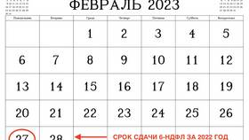Что означает код дохода 2720 в Доктор Столетов