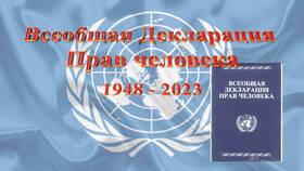 Что такое декларация прав в Доктор Столетов
