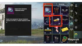Что такое PP в PUBG Mobile в Доктор Столетов