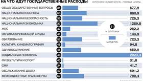 Что такое расход (трата денег) в Доктор Столетов