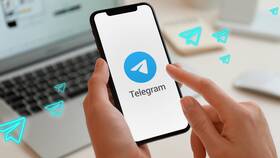 Как добавить в Telegram по QR-коду в Доктор Столетов