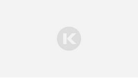 Как найти номер ИП по ИНН в Доктор Столетов