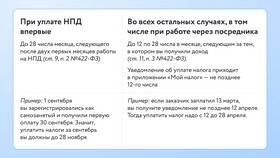 Как оплатить налоги в 2024 году в Доктор Столетов