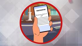 Как подать заявление на компенсацию через Госуслуги в Доктор Столетов