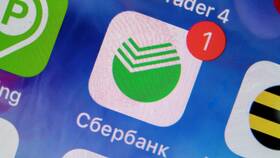 Как подключить автоплатеж штрафов ГИБДД в Доктор Столетов