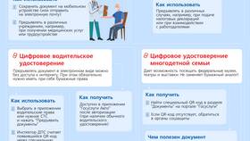Как получить электронный паспорт через Госуслуги в Доктор Столетов