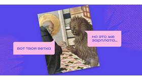 Как понимать что такое доходы в Доктор Столетов