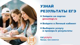 Как посмотреть результаты ЕГЭ через Госуслуги на телефоне в Доктор Столетов