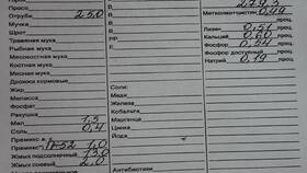 Как правильно сравнить документы в Доктор Столетов