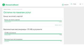 Как проверить остаток трафика, минут и SMS на МегаФоне в Доктор Столетов