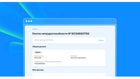 Как проверить регистрацию ИП: полное руководство в Доктор Столетов