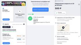 Как проверить штрафы ГИБДД по имени в Доктор Столетов