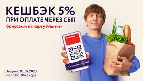 Как расплачиваться в магазине через СБП телефоном в Доктор Столетов