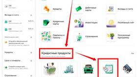 Как узнать свою кредитную историю через БКИ в Доктор Столетов