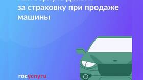 Как вернуть страховку КАСКО при продаже автомобиля в Доктор Столетов