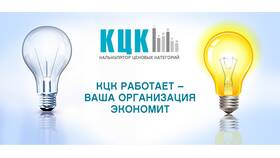 Как выбрать ценовую категорию электроэнергии для юридического лица в Доктор Столетов