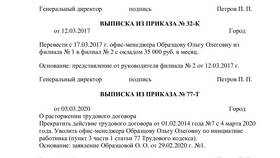 Как взять выписку из приказа в Доктор Столетов