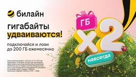 Комиссии Билайн: виды и условия в Доктор Столетов