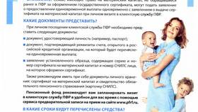 Отчисления в ПФР: что это такое в Доктор Столетов