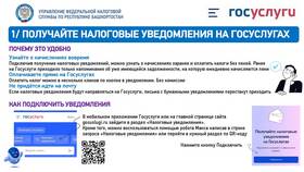 Почему на Госуслугах не скачивается документ в Доктор Столетов
