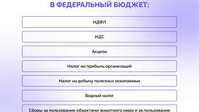 Почему налоги важны для государства в Доктор Столетов