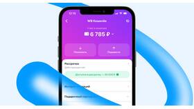 Почему не получается улучшить кошелек Wildberries в Доктор Столетов