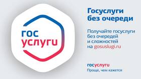 Почему не загружается портал Госуслуги в Доктор Столетов