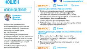 Правда ли что выплаты: разбираем популярные вопросы в Доктор Столетов