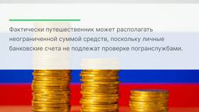 Правила декларирования валюты в аэропортах России в Доктор Столетов