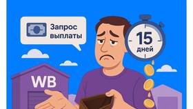 Причины задержек доставки в Wildberries в Доктор Столетов