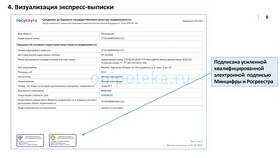 Сроки получения выписки из ЕГРН в Доктор Столетов