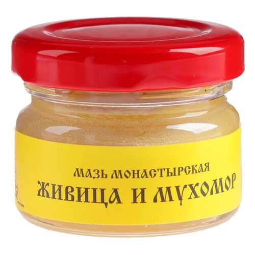 Мазь Монастырская Бизорюк Фабрика здоровья Живица с мухомором 25 мл в Доктор Столетов